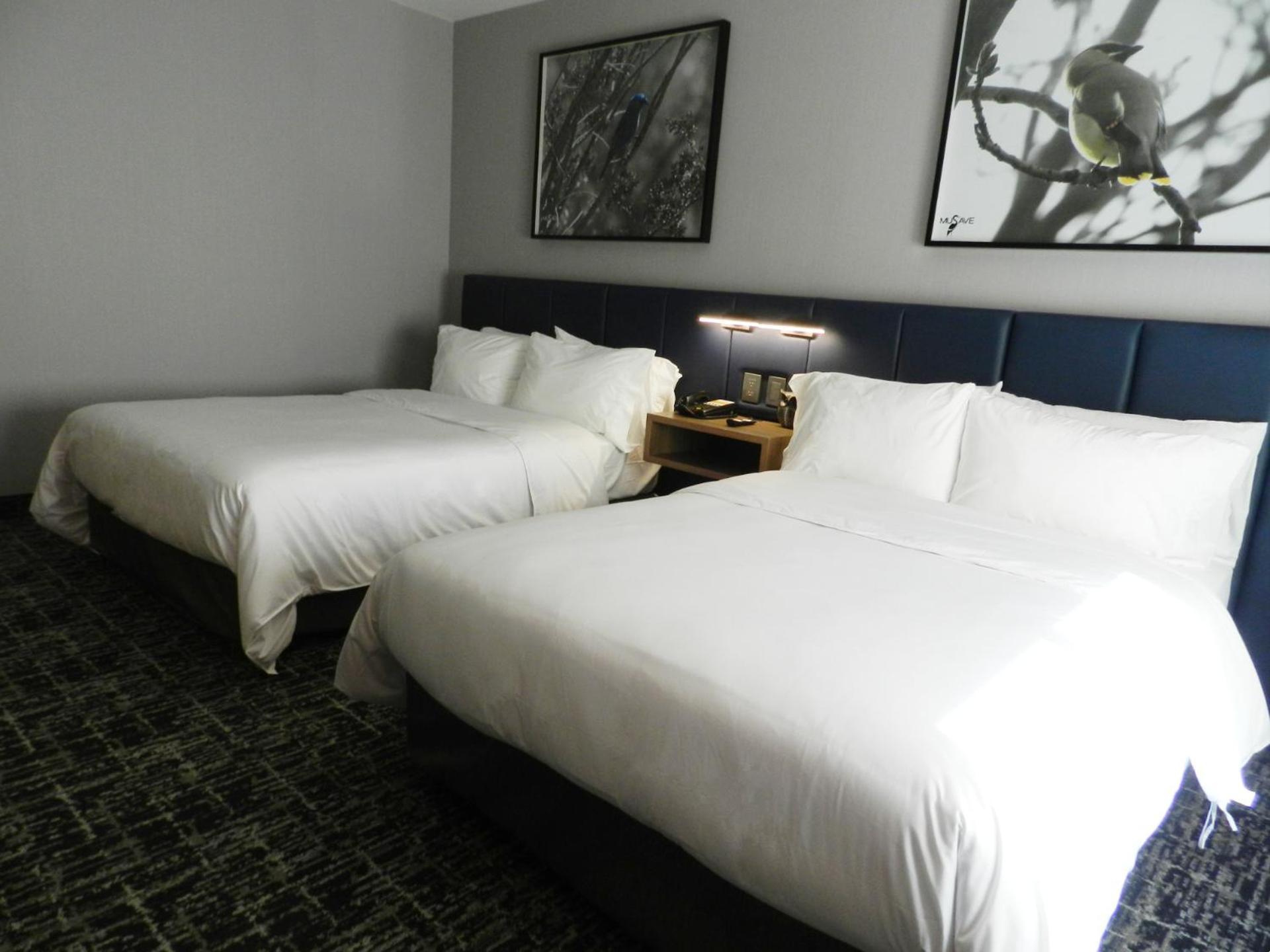 Voco Saltillo Suites By Ihg Екстер'єр фото