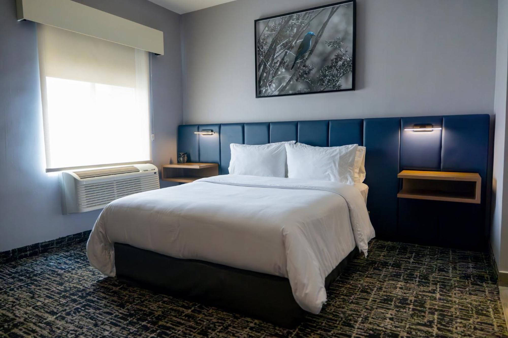 Voco Saltillo Suites By Ihg Екстер'єр фото
