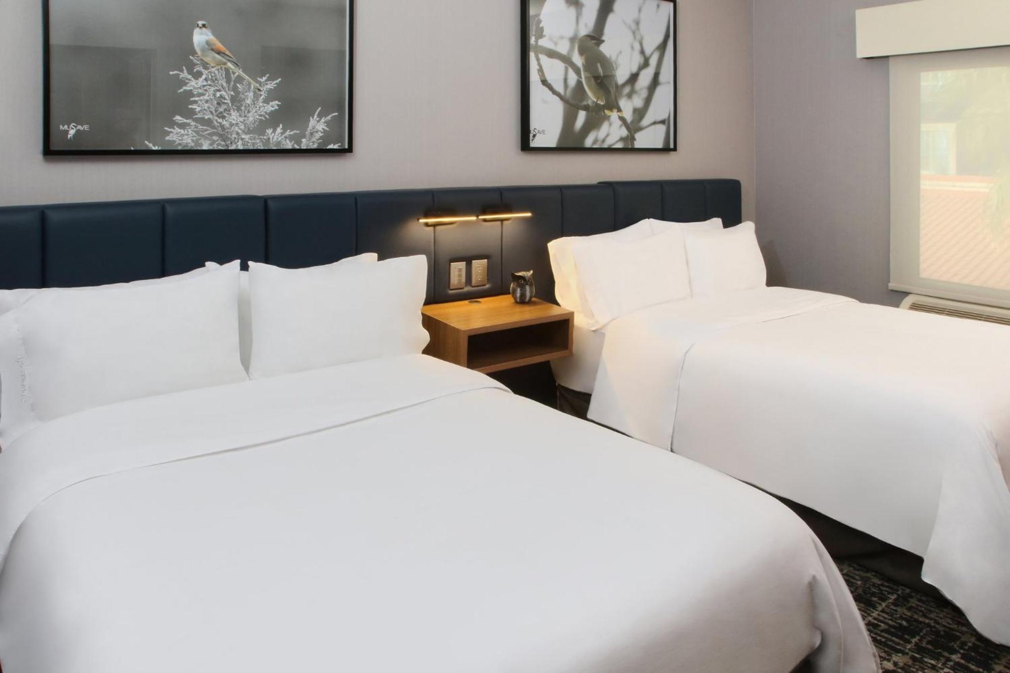 Voco Saltillo Suites By Ihg Екстер'єр фото