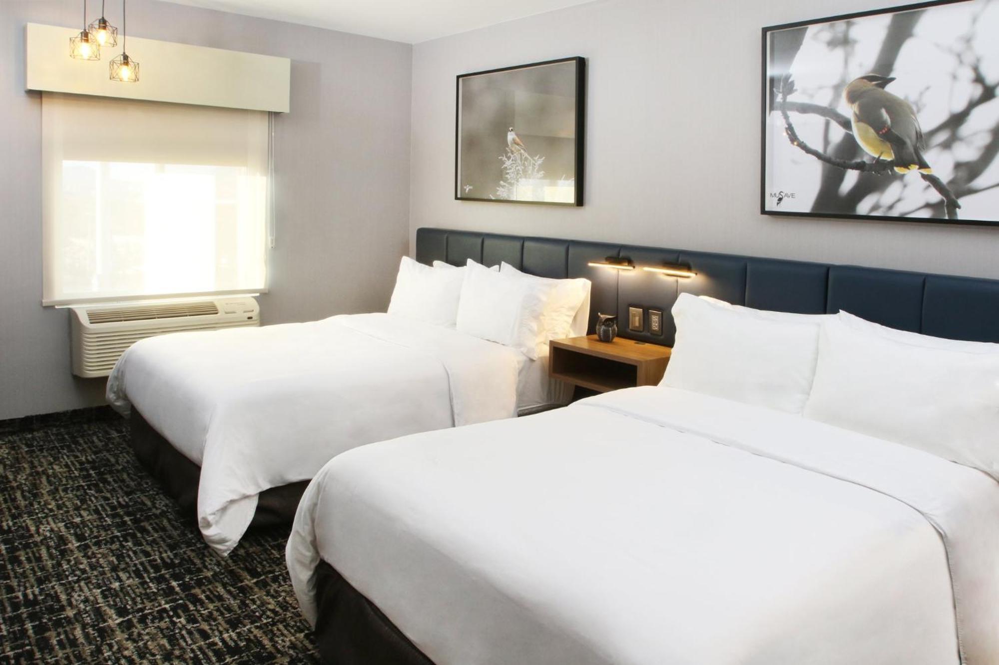 Voco Saltillo Suites By Ihg Екстер'єр фото