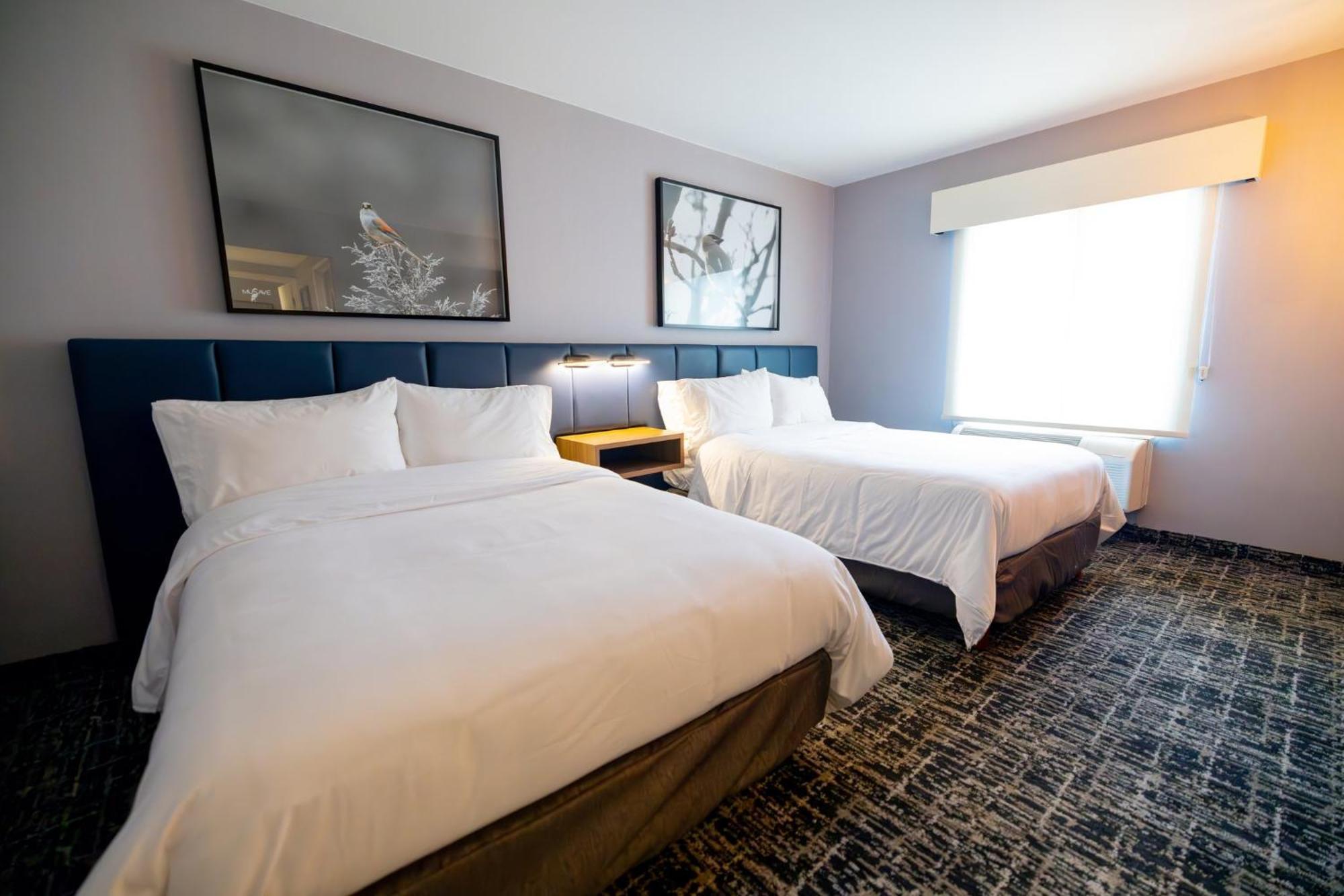 Voco Saltillo Suites By Ihg Екстер'єр фото