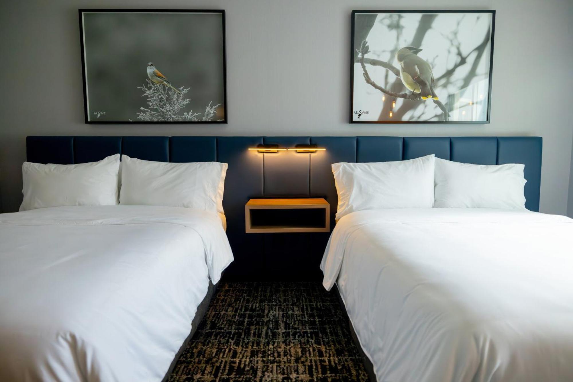 Voco Saltillo Suites By Ihg Екстер'єр фото
